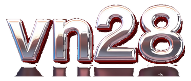 vn224 logo